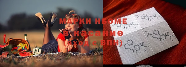 стафф Козельск
