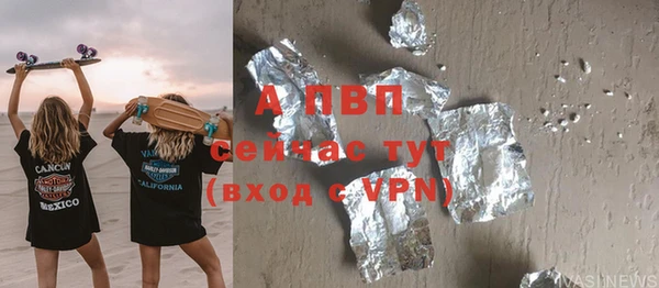 прущие грибы Абаза