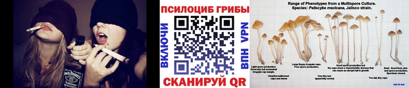 Псилоцибиновые грибы мухоморы  blacksprut маркетплейс  Ивангород  купить наркоту 